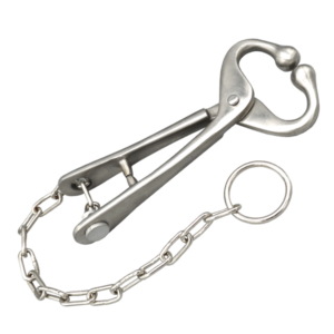 Bull Holder With Chain