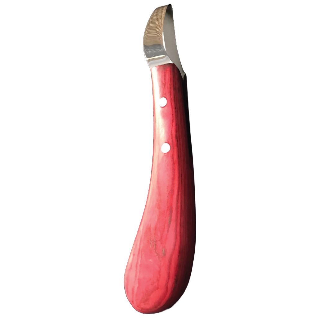 Hoof knife for horses double edge