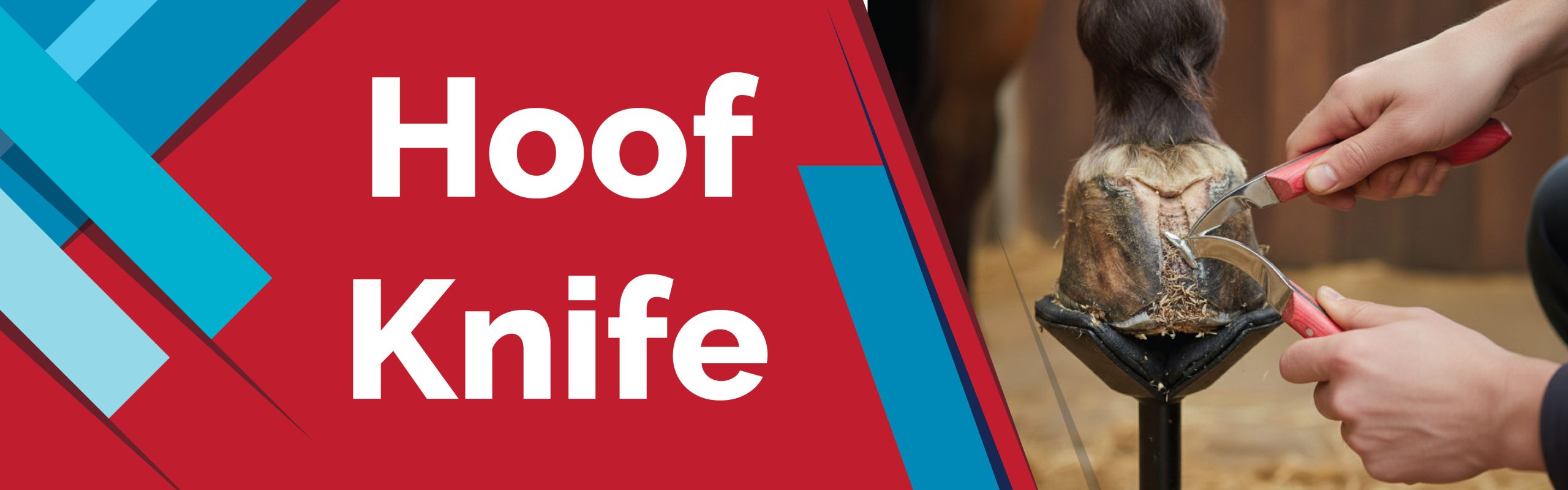Hoof Knife